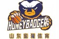 鲁媒：山东蜜獾篮球俱乐部新赛季将征战NBL联赛 主场在济南