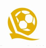 “462杯”中国队伍介绍:6支职业俱乐部梯队,恒大足校在列