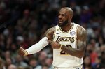 前NBA球员谈詹姆斯哨子少：比对手更高更壮 也不意味着哨子就得多