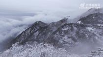 效仿泰山队,泰山队球迷组织连续18年登泰山,山顶体感温度零下