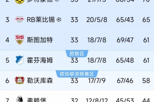 德甲末轮三队争最后一个欧冠名额：斯图加特、霍芬海姆、勒沃库森