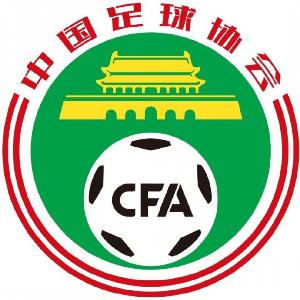 中国足协负责人:推动行业治理从重点打击向系统清理拓展深化