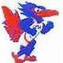 德州州立
